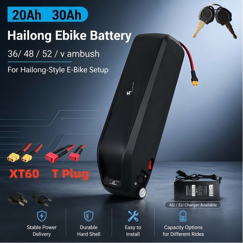다용도 하이롱 배터리, 다중 전압 36V 48V 52V - Ebike Battery 48V 20Ah Hailong 리뷰 및 가격