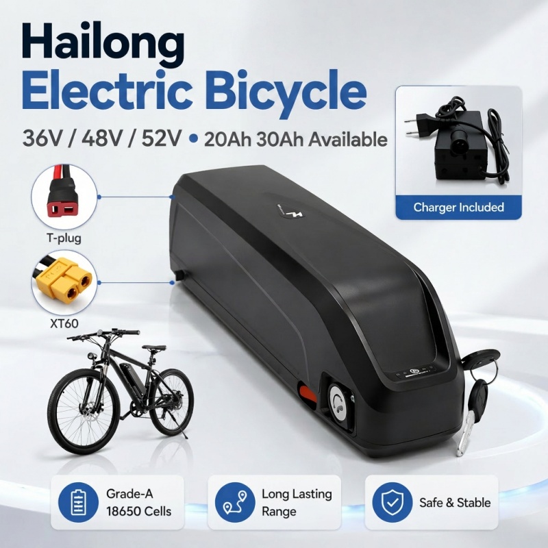 다용도 하이롱 배터리, 다중 전압 36V 48V 52V - Ebike Battery 48V 20Ah Hailong 리뷰 및 가격